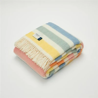 Colorful Striped Throw Blanket